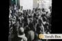 Archive : Lag Baomer à Méron en 1936 - © Torah-Box