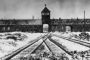 Devait-on bombarder Auschwitz ?  1944 ? désaccords entre historiens, par André Charguéraud - © Europe-Israel