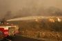 Enorme incendie au Carmel de nombreux morts appel aux volontaires - © Eli d'Ashdod