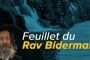 Feuillet du Rav Biderman Balak 5778, imprimez le feuillet ! - © Torah-Box