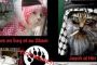 Films, Internet, jeux vidéo : les nouvelles armes de recrutement du djihad - © Europe-Israel