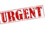 Important : Alerte concernant les Skakh de Souccot achetés chez Leroy Merlin, etc. - © Torah-Box