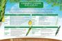 [Imprimer] Pratique : Comment choisir son Loulav ? - © Torah-Box
