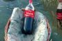 Insolite : Myriam sauve Moché dans un panier (version Coca Cola) - © Torah-Box