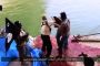 IRAK : ISIS et la rivière de sang ? Le massacre de Tikrit. L'ONU, les médias et les ONG sont aux abonnés absents. (Vidéo) 2ème partie - © Europe-Israel