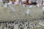 Israël, la nation irrationnelle ! - © Torah-Box