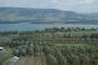 Israël prévoit la construction d'une nouvelle ville arabe et d'un village druze - © Europe-Israel