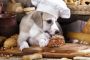 La parabole du chien de Rome : à lire ! - © Torah-Box