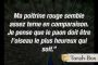 Le corbeau et le paon - © Torah-Box