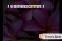 Le jardin du Roi - © Torah-Box
