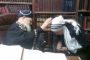 Le plus important aux yeux d'Hachem, c'est l'effort ! - © Torah-Box