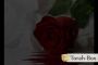 Le romantisme n'a pas d'âge - © Torah-Box