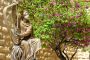 Les "fautes" de Chaoul et David : assumer ses responsabilités - © Torah-Box
