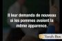 Les pommes et le harcèlement - © Torah-Box