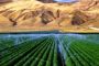 Made in Israël : Agriculture (vidéo) - © Europe-Israel
