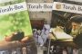 Mazal Tov ! Bienvenue au Magazine Torah-Box - © Torah-Box