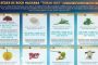 Nouveau : recevez nos Fiches Pratiques par la poste ! - © Torah-Box