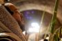 PhoTorah de la semaine : 11 Tichri 5774 - © Torah-Box