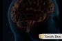 Pourquoi 1 bouche et 2 oreilles ?  - © Torah-Box