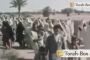 Tunisie - Pèlerinage de la Ghriba en 1952 - © Torah-Box