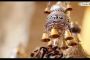 [Vidéo] Grande Prière, Veille de Roch Hachana, pour vous tous ! - © Torah-Box