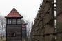 Voyages de mémoire au camp d'Auschwitz - © Michelle Goldstein