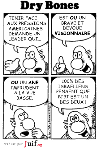 Bibi 10 ans aprs  - © Dry Bones