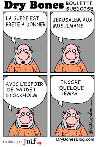 Boulette sudoise - © Dry Bones