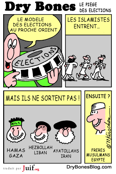 Dmocratie, et ensuite ? - © Dry Bones