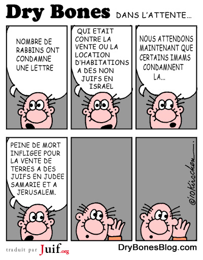 Double standard - © Dry Bones