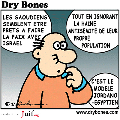 Et en plus, il n'y a rien  y voir - © Dry Bones