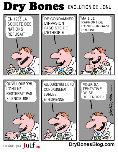 Evolution de lONU - © Dry Bones
