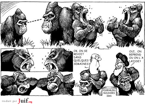 Jeu de singes - © Inconnue