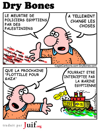 L'Egypte en guerre dans le Sina - © Dry Bones