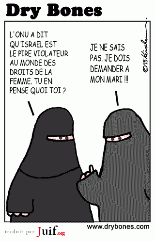 L'ONU : de plus en plus mprisable - © Dry Bones