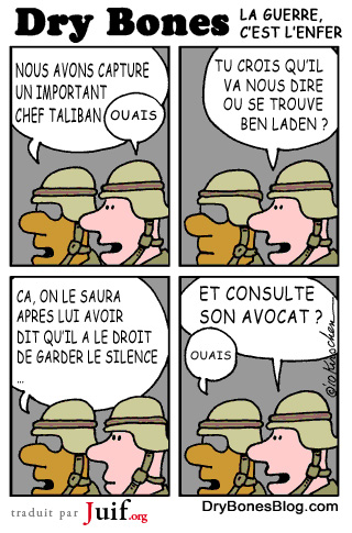La guerre contre le terrorisme - © Dry Bones