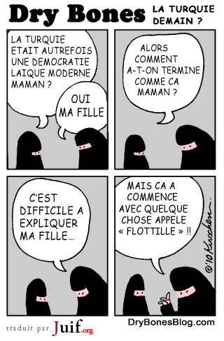 La Turquie demain ? - © Dry Bones