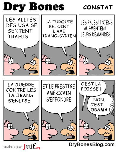 Le constat amricain - © Dry Bones