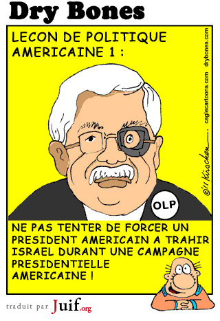 Leon de politique amricaine - © Dry Bones