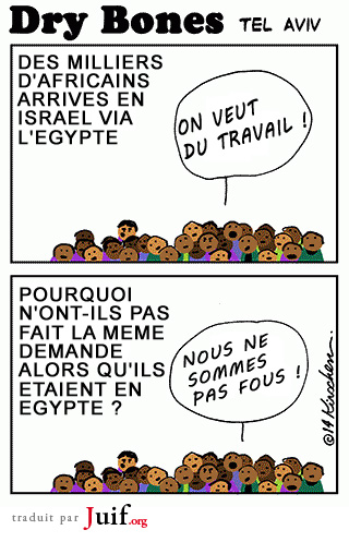 Les clandestins protestent - © Dry Bones