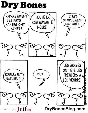Les noirs amricains et les juifs - © Dry Bones
