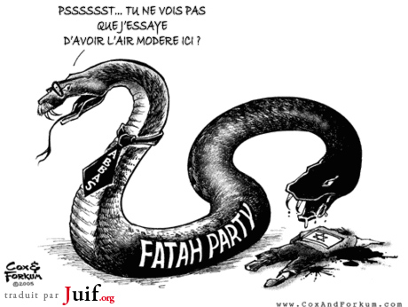 Modration et concessions - © Cox & Forkum