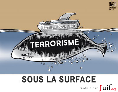 Naufrage de la flottille - © BISH sur Pittsburgh Tribune Review