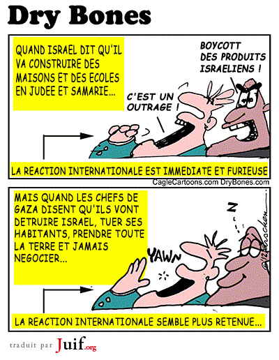 Pas antisioniste, antismite ! - © Dry Bones