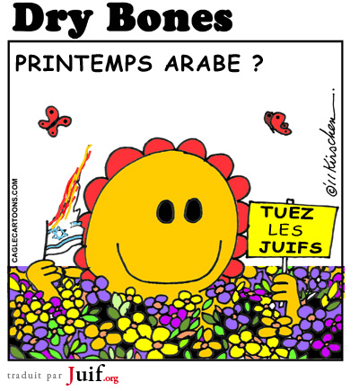 Printemps arabe ? - © Dry Bones