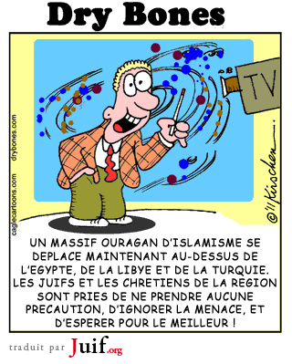 Un ouragan dislamisme - © Dry Bones