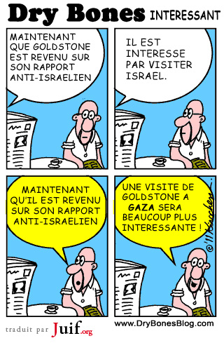 Un test intressant - © Dry Bones