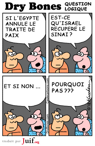 Une question logique - © Dry Bones