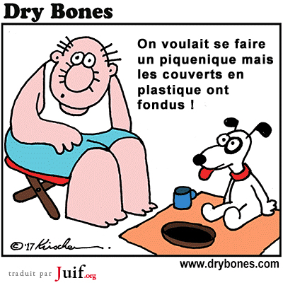 Vague de chaleur - © Dry Bones