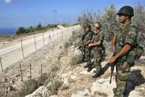 L&rsquo;ONU confirme que l&rsquo;arbre &eacute;tait bien isra&eacute;lien